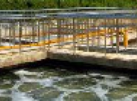 廢水中含汞的處理方法