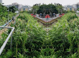 亮科環(huán)境塘廈地埋一體化