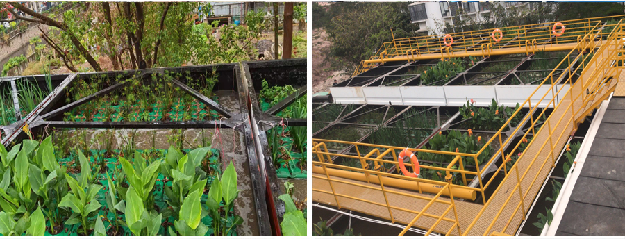 1621481620135707.jpg 龍洋環(huán)保黃江8000m31.jpg