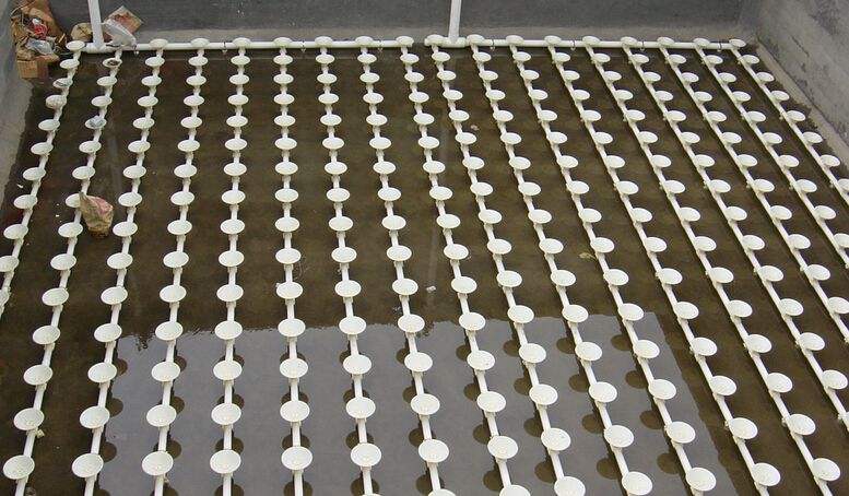 1648103291120352.jpg 5.jpg